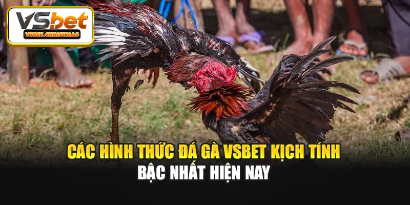 Các hình thức Đá gà Vsbet kịch tính bậc nhất hiện nay