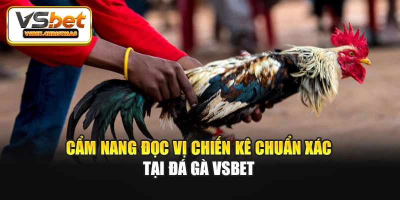 Cẩm nang đọc vị chiến kê chuẩn xác tại Đá gà Vsbet