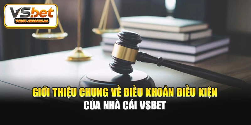Giới thiệu chung về điều khoản điều kiện của nhà cái Vsbet